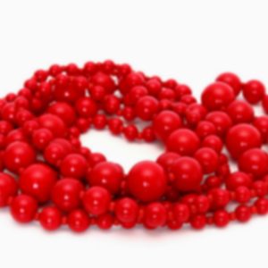 Etiam pretium ferment